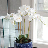 Napa White PHALAENOPSIS ORCHID BOWL DROP-IN 25"