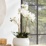 Napa White PHALAENOPSIS ORCHID BOWL DROP-IN 25"