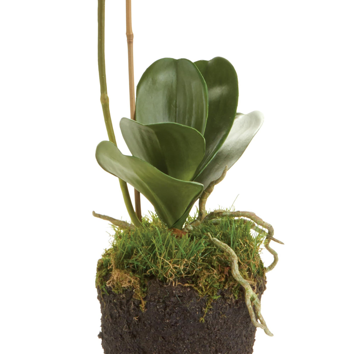 Napa White PHALAENOPSIS ORCHID DROP-IN 26"