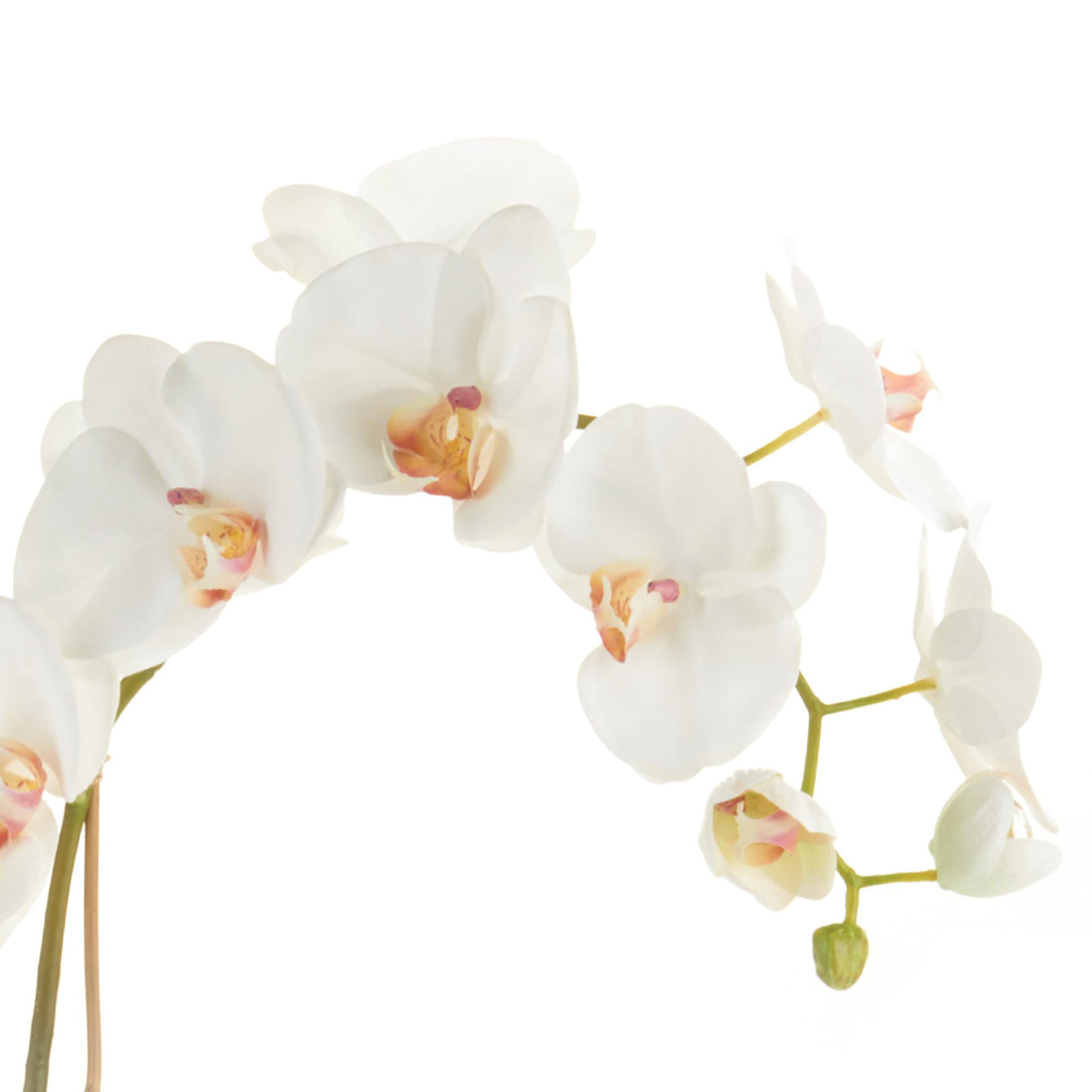 Napa White PHALAENOPSIS ORCHID DROP-IN 26"