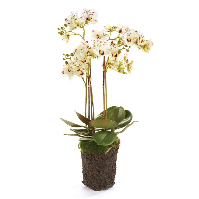 Napa White/Purple PHALAENOPSIS ORCHID DROP-IN 20"