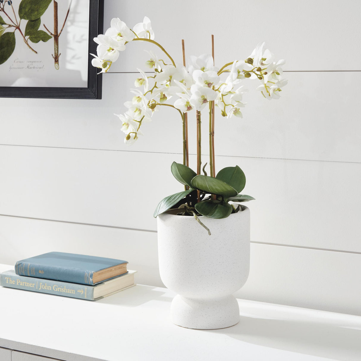 Napa White PHALAENOPSIS ORCHID DROP-IN 20"