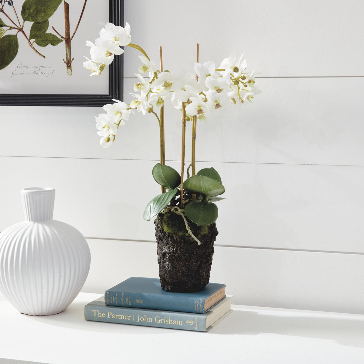 Napa White PHALAENOPSIS ORCHID DROP-IN 20"