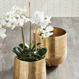 Napa White PHALAENOPSIS ORCHID MINI GARDEN DROP-IN 16"