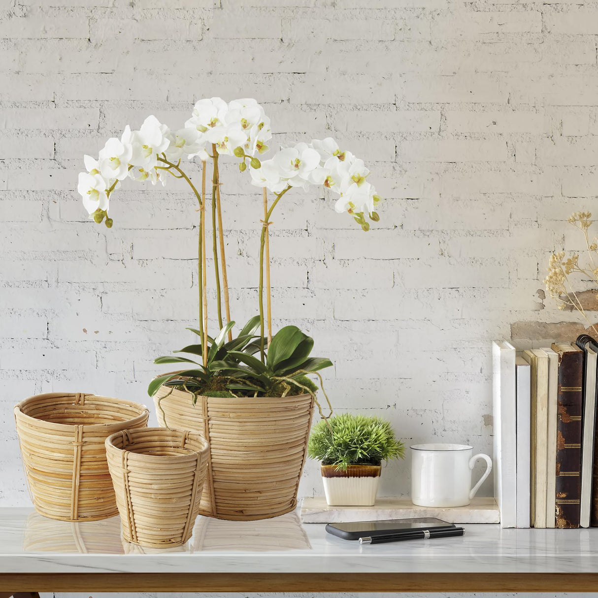Napa White PHALAENOPSIS ORCHID MINI GARDEN DROP-IN 16"