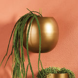 Napa Antique Gold PERCY WALL CACHEPOT