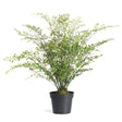 Napa Green MAIDENHAIR DROP-IN 30"