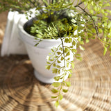 Napa Green MAIDENHAIR DROP-IN 30"