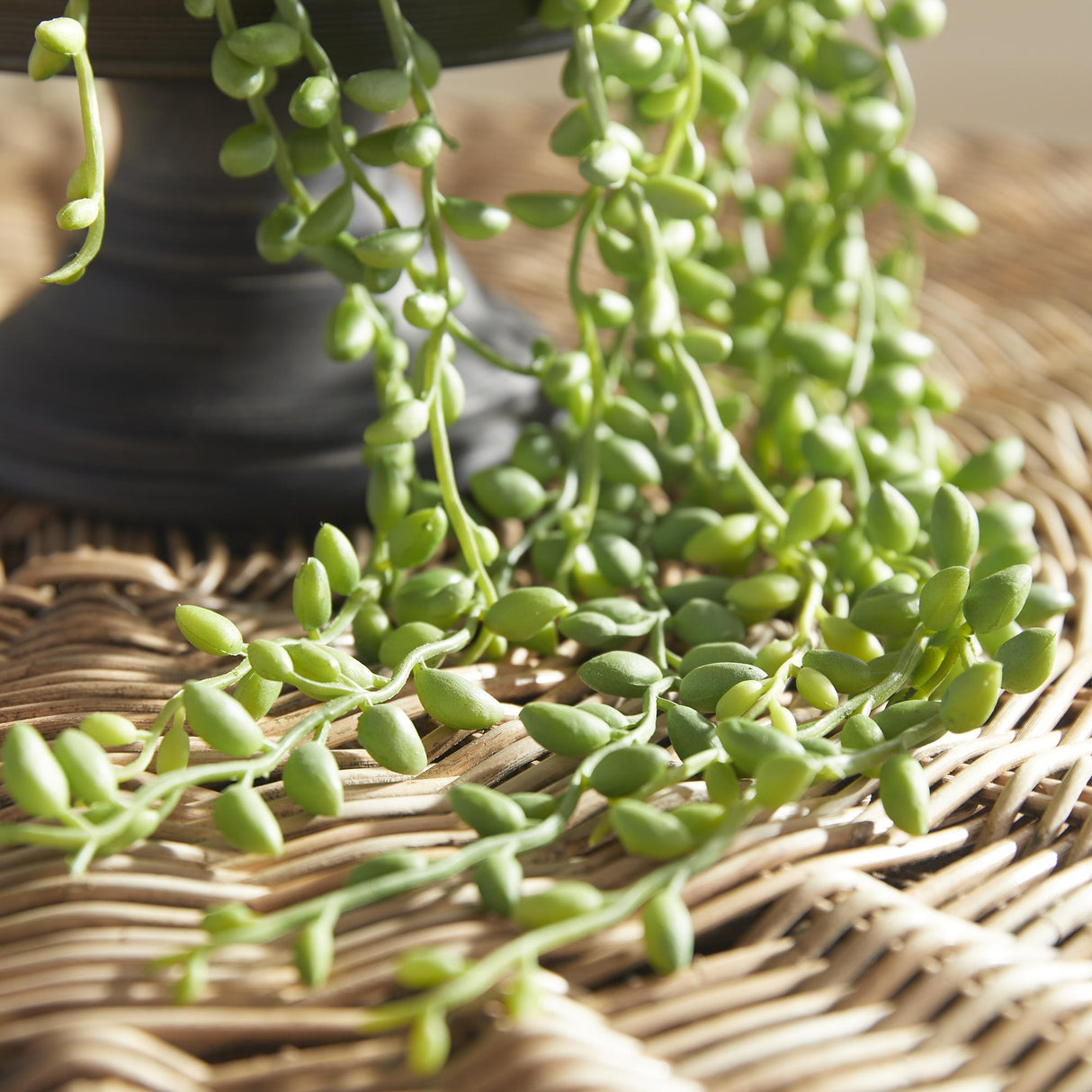 Napa Green STRING OF PEARLS DROP-IN 26"