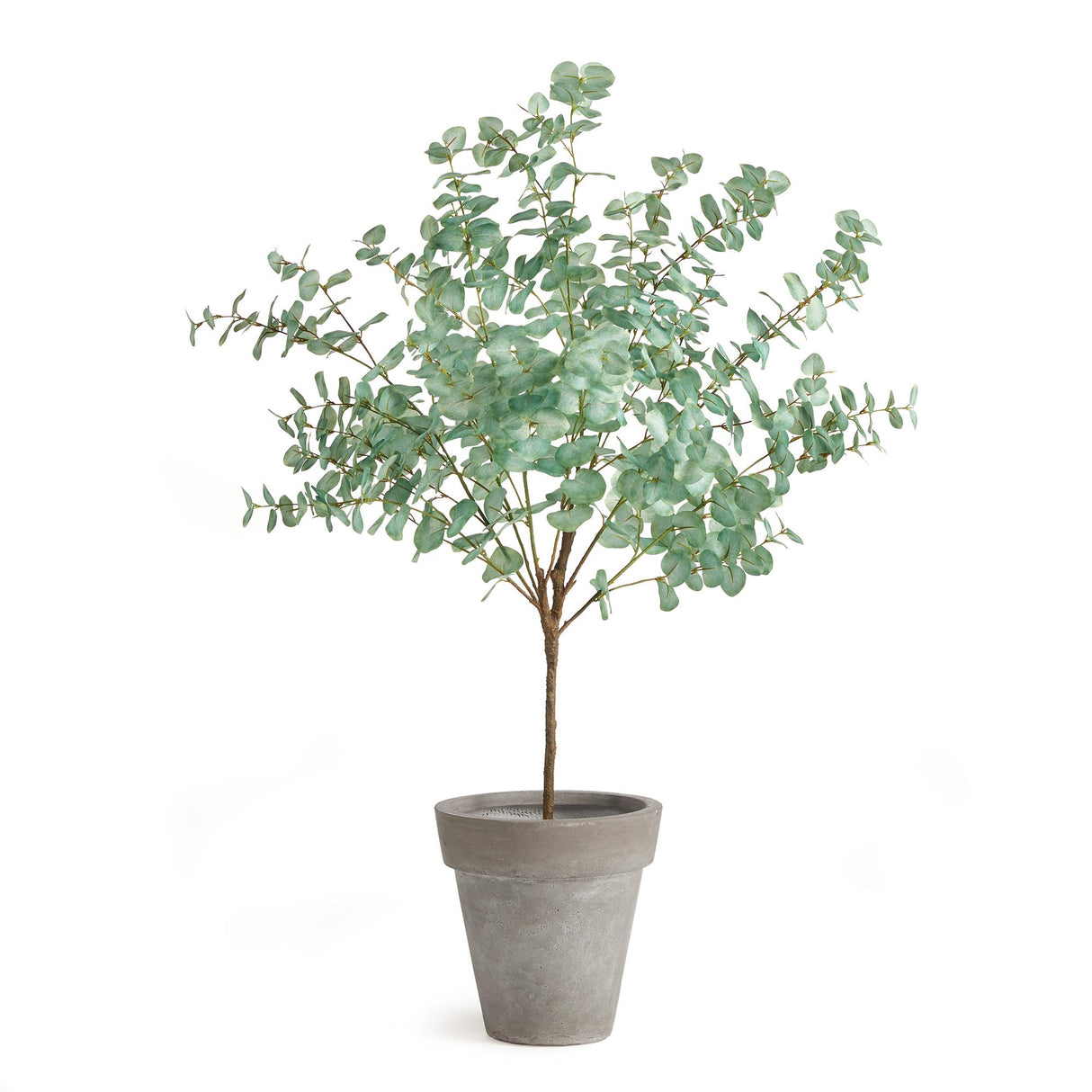 Napa Green EUCALYPTUS TREE DROP-IN 49"