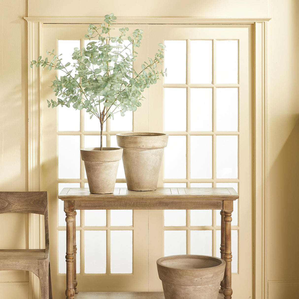 Napa Green EUCALYPTUS TREE DROP-IN 49"