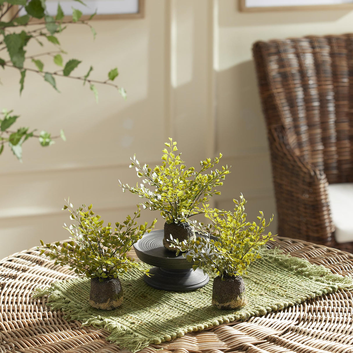 Napa Green MAIDENHAIR DROP-INS, SET OF 3
