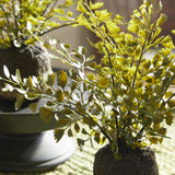 Napa Green MAIDENHAIR DROP-INS, SET OF 3