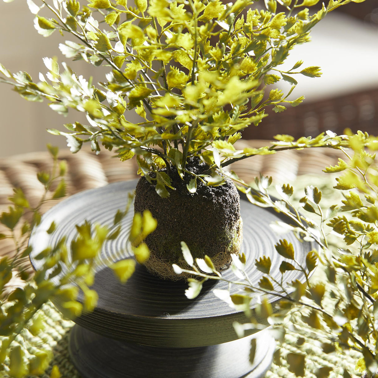 Napa Green MAIDENHAIR DROP-INS, SET OF 3