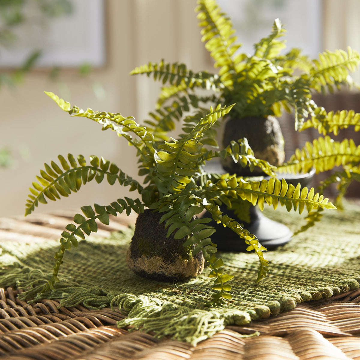Napa Green BOSTON FERN DROP-INS, SET OF 3
