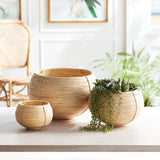 Napa Natural CANE RATTAN PLANT BASKETS, SET OF 3