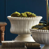 Napa White COLETTA DECORATIVE FOOTED BOWL