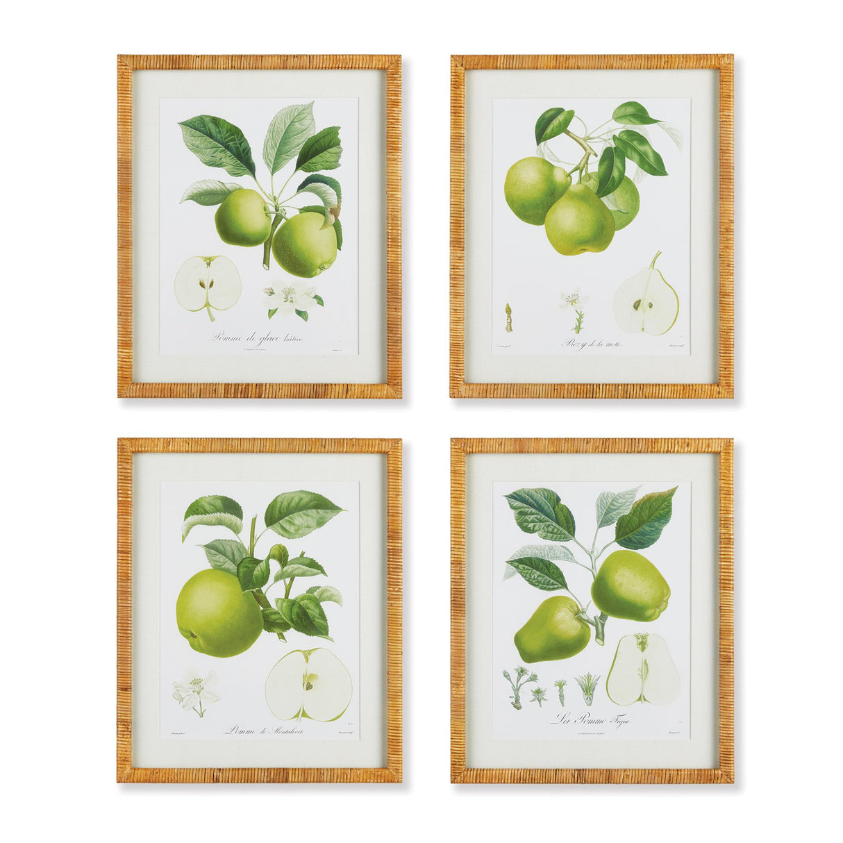 Napa Includes mat FRUIT STUDY, SET OF 4