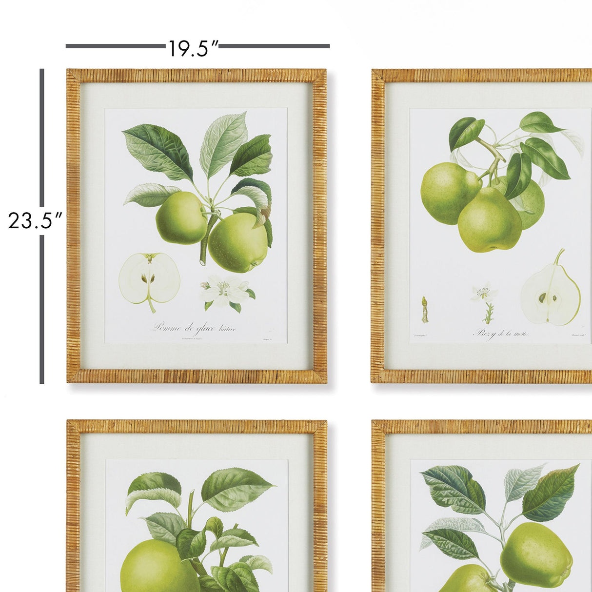 Napa Includes mat FRUIT STUDY, SET OF 4