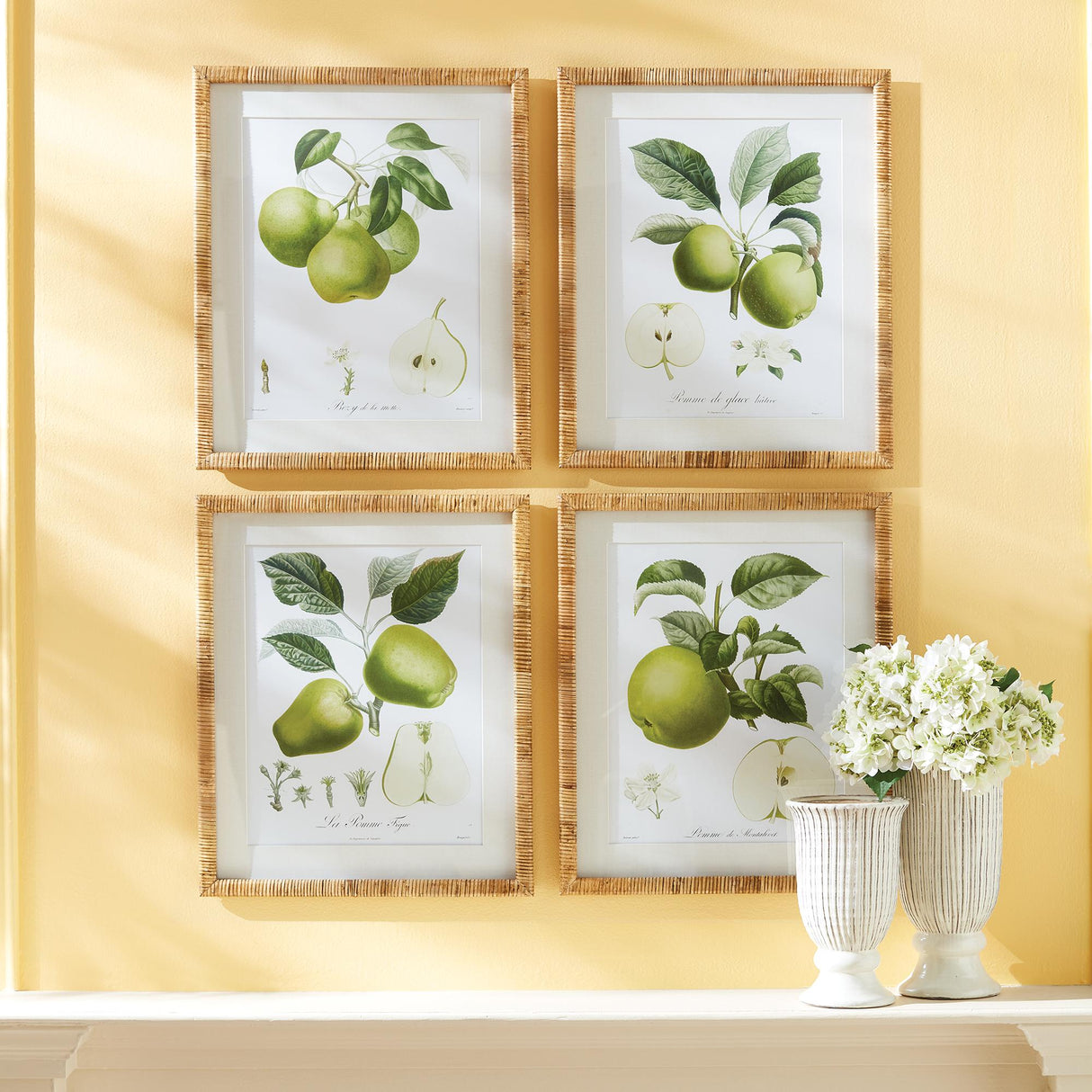 Napa Includes mat FRUIT STUDY, SET OF 4