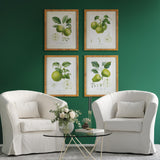 Napa Includes mat FRUIT STUDY, SET OF 4