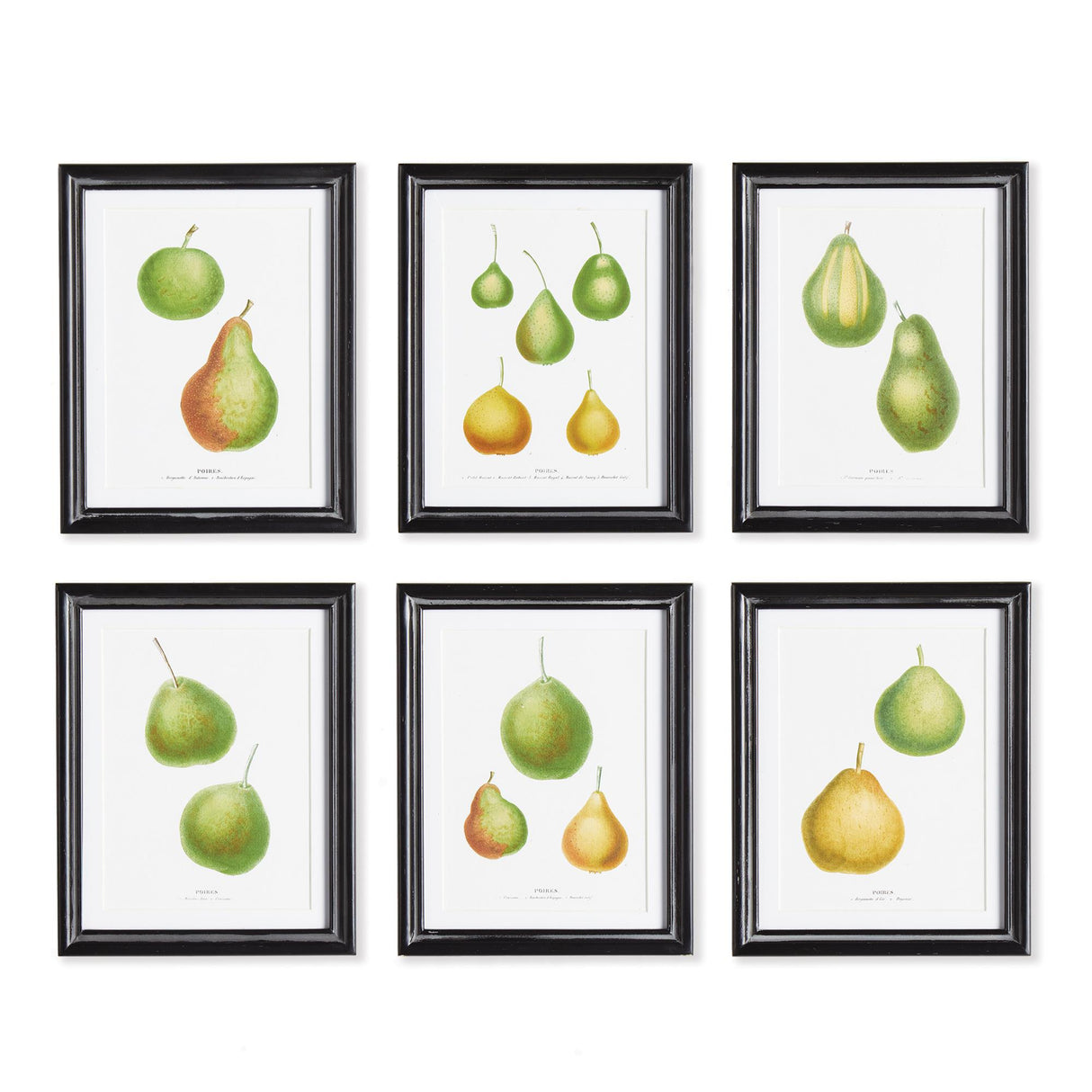 Napa Includes mat PEAR STUDY, SET OF 6