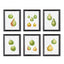 Napa Includes mat PEAR STUDY, SET OF 6