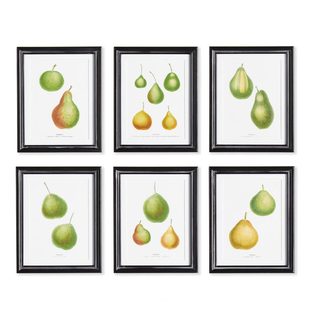 Napa Includes mat PEAR STUDY, SET OF 6