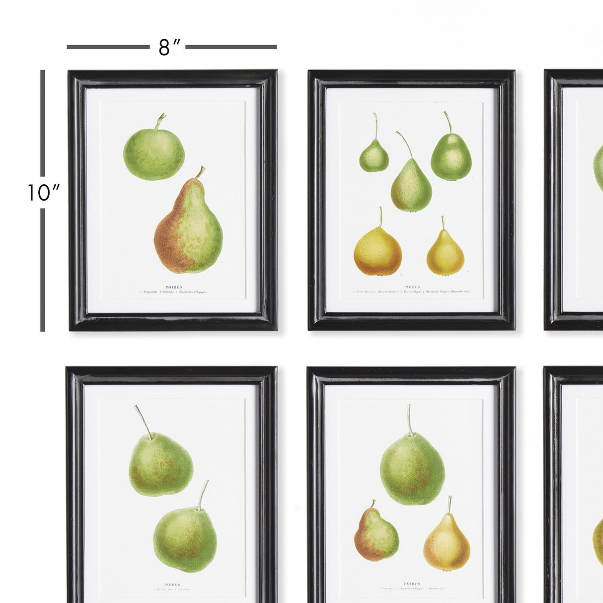 Napa Includes mat PEAR STUDY, SET OF 6