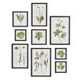 Napa  FOLIAGE PRINTS, SET OF 9