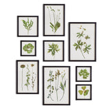 Napa  FOLIAGE PRINTS, SET OF 9