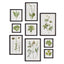 Napa  FOLIAGE PRINTS, SET OF 9
