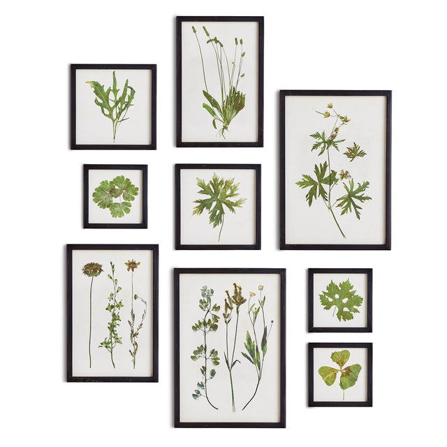 Napa  FOLIAGE PRINTS, SET OF 9