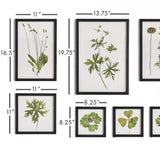 Napa  FOLIAGE PRINTS, SET OF 9