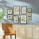 Napa  FOLIAGE PRINTS, SET OF 9