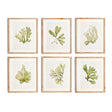 Napa Includes mat KELP PRINTS, SET OF 6