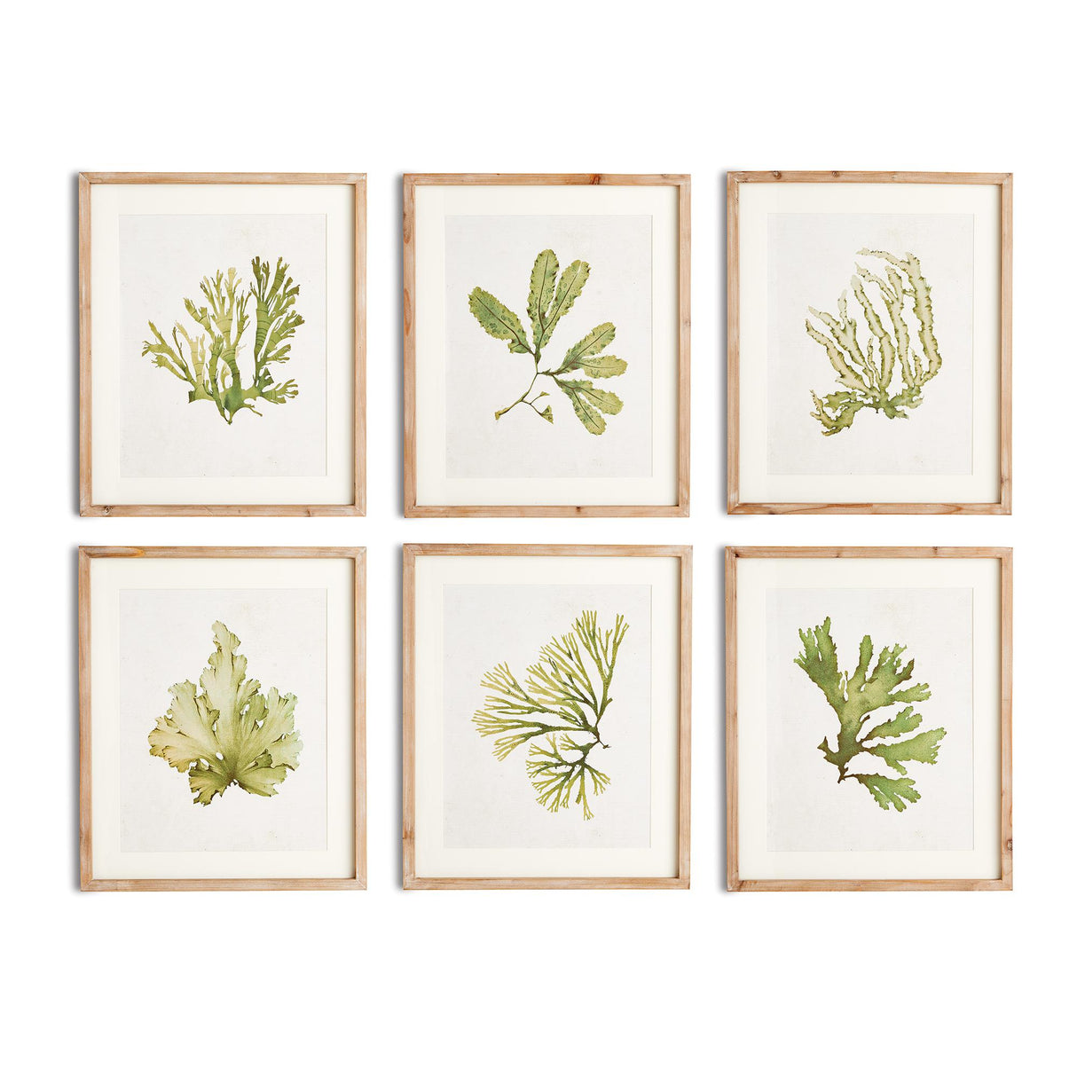 Napa Includes mat KELP PRINTS, SET OF 6