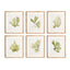 Napa Includes mat KELP PRINTS, SET OF 6