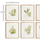Napa Includes mat KELP PRINTS, SET OF 6