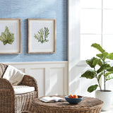 Napa Includes mat KELP PRINTS, SET OF 6