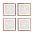Napa  SEAWEED PETITE PRINTS, SET OF 4