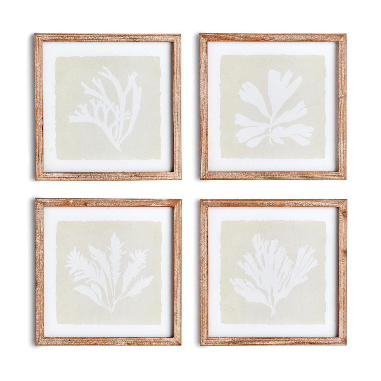 Napa  SEAWEED PETITE PRINTS, SET OF 4