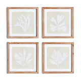 Napa  SEAWEED PETITE PRINTS, SET OF 4