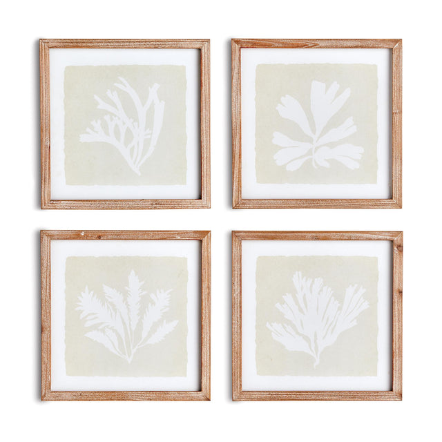 Napa  SEAWEED PETITE PRINTS, SET OF 4