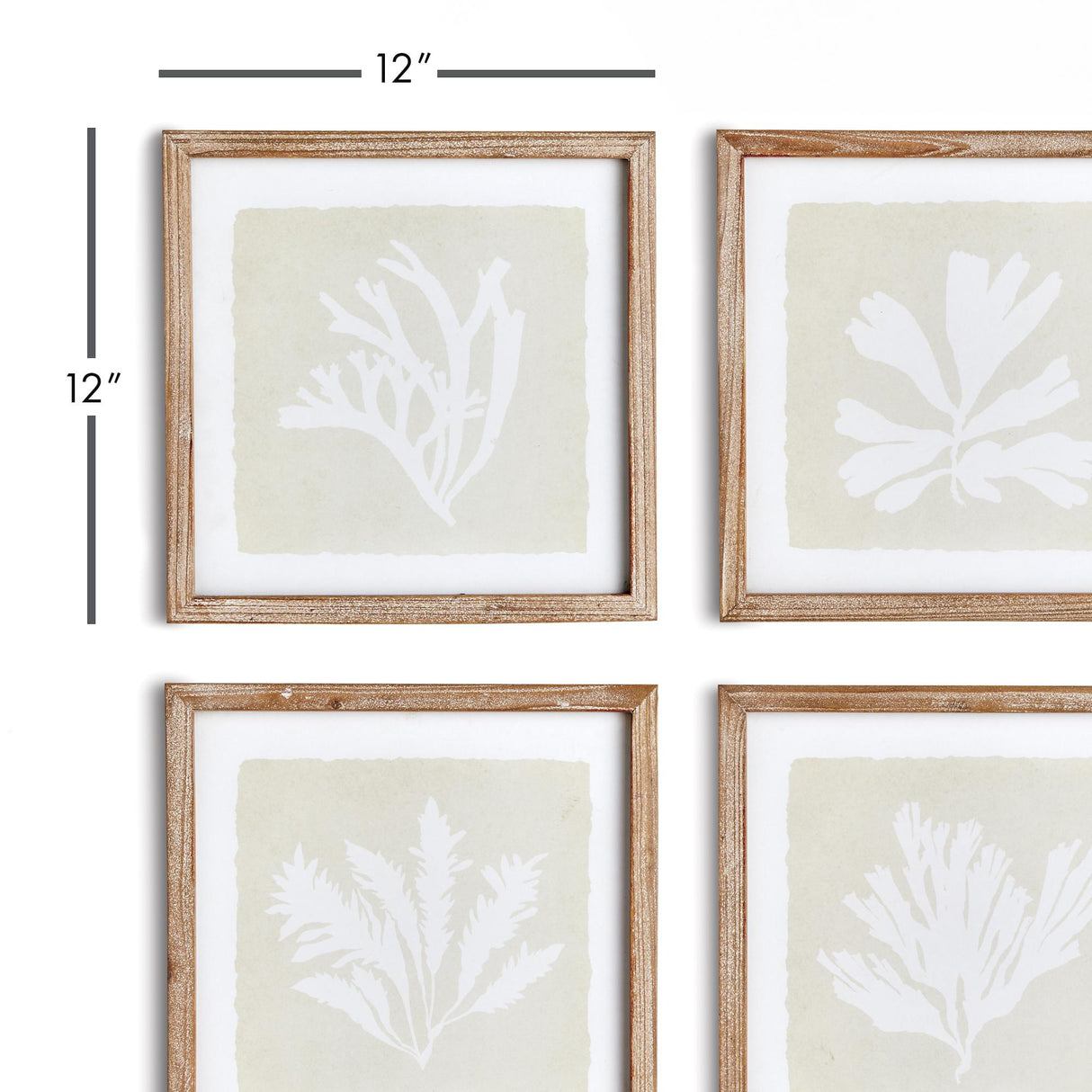 Napa  SEAWEED PETITE PRINTS, SET OF 4