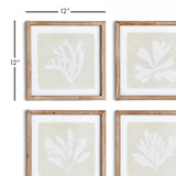 Napa  SEAWEED PETITE PRINTS, SET OF 4
