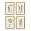 Napa Includes mat FOREST FERN PRINTS, SET OF 4