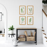 Napa Includes mat FOREST FERN PRINTS, SET OF 4