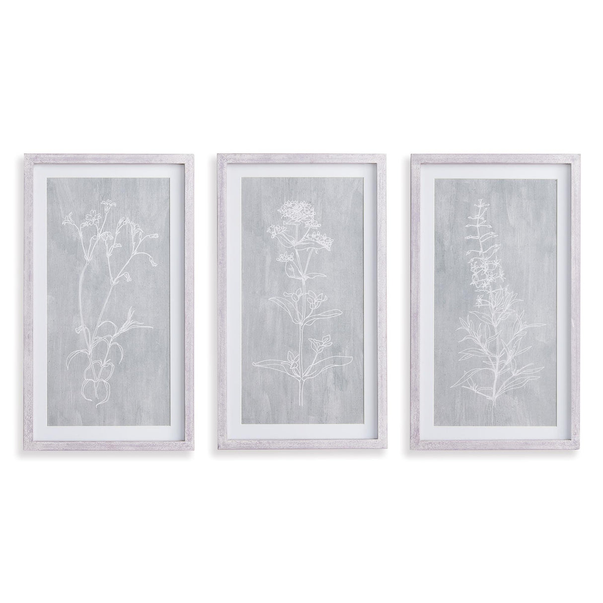Napa Includes mat SKETCHED BOTANICAL PRINTS, SET OF 3