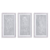 Napa Includes mat SKETCHED BOTANICAL PRINTS, SET OF 3